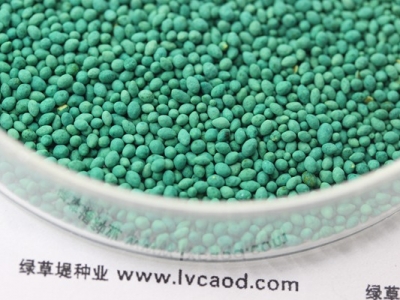 百慕大草籽的價格，百慕大草籽多少錢一斤能夠買到？