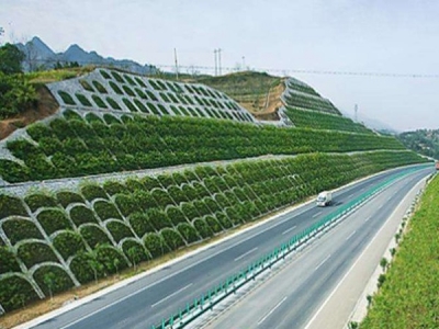 高速公路護(hù)坡草坪種子哪種好