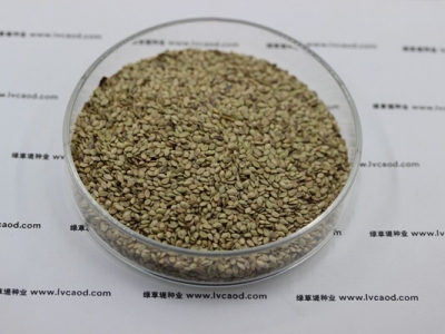 草種子批發(fā)價(jià)格多少錢(qián)一斤