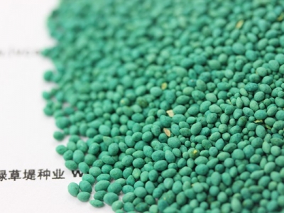 狗牙根草籽耐熱耐寒嗎