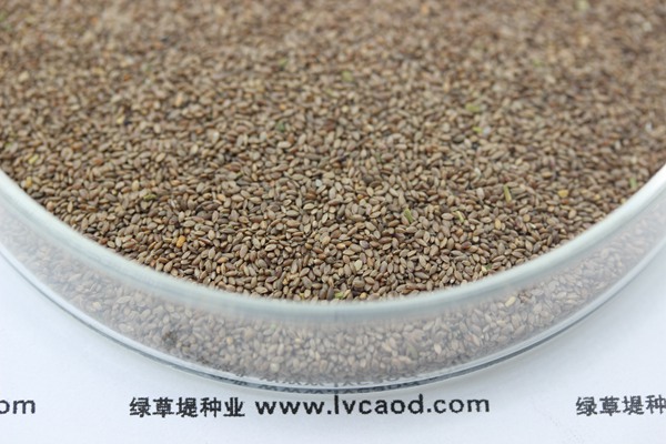 <a href=http://www.bnzsw.cn/caopingzhongzi/21.html target=_blank class=infotextkey>狗牙根種子</a>