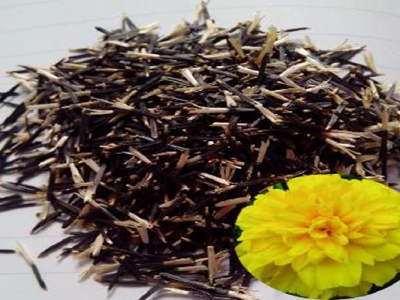 萬(wàn)壽菊種子收取時(shí)間是幾月？