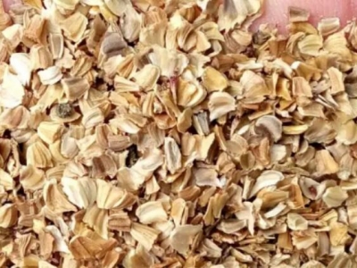花環(huán)菊種子的種植方法