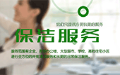 醉蝶花圖片